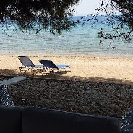 "Pine&Sea" Kastamoniti Beach Никити Екстериор снимка