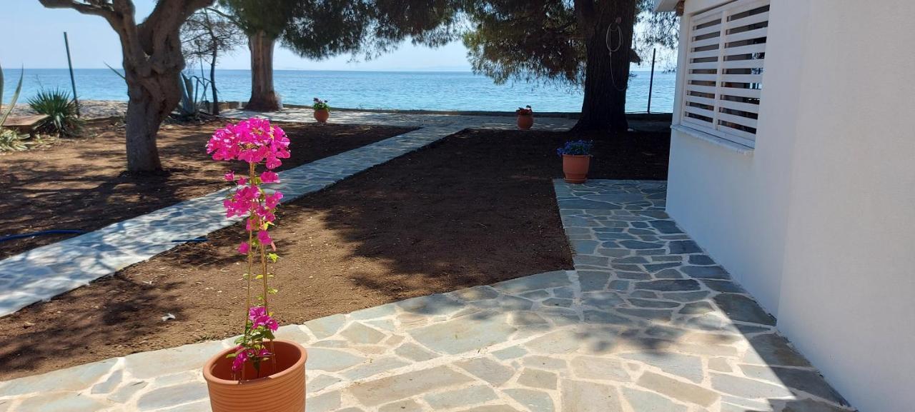 "Pine&Sea" Kastamoniti Beach Никити Екстериор снимка