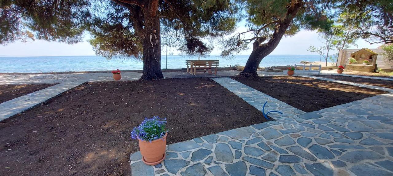 "Pine&Sea" Kastamoniti Beach Никити Екстериор снимка