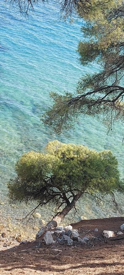 "Pine&Sea" Kastamoniti Beach Никити Екстериор снимка