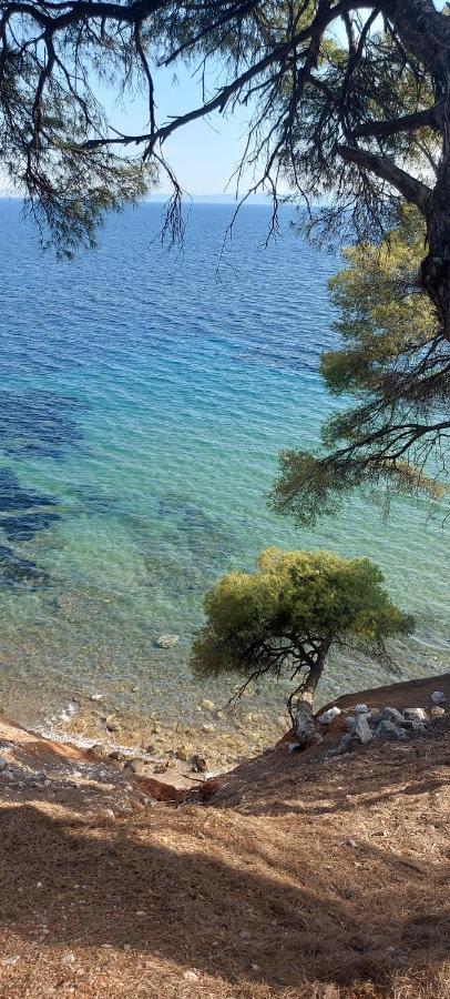 "Pine&Sea" Kastamoniti Beach Никити Екстериор снимка